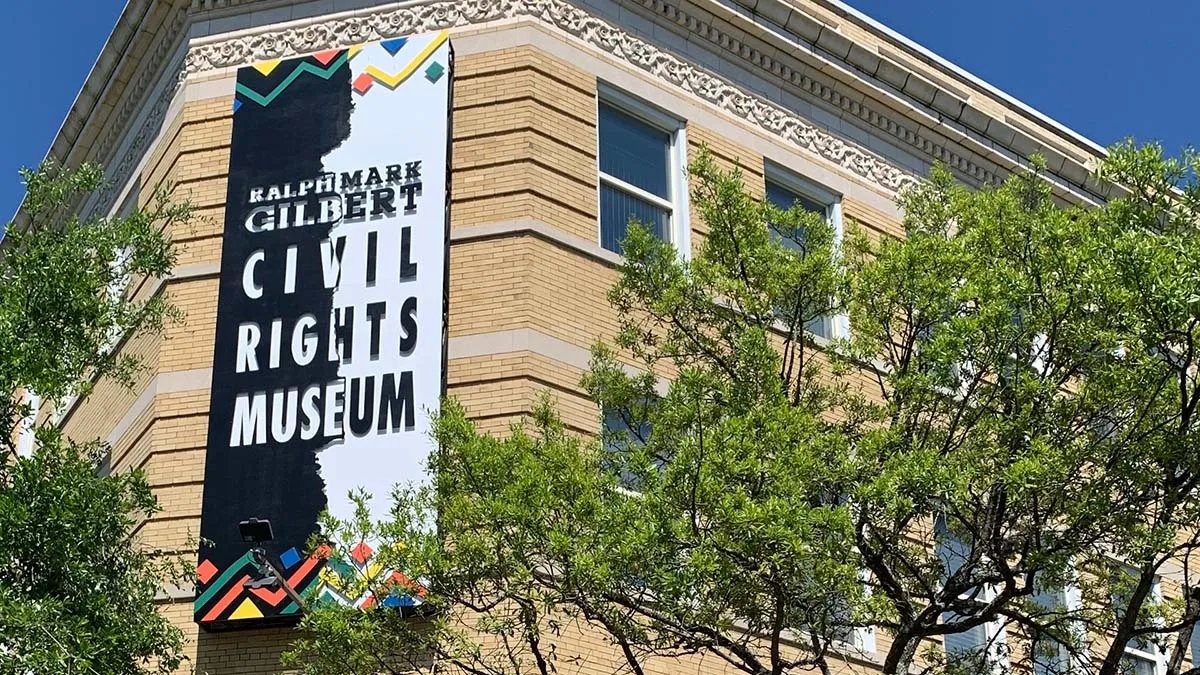 person driving a car